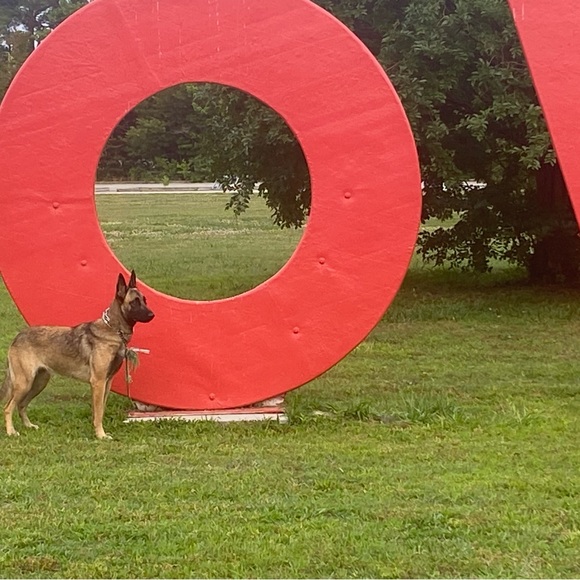 Meet your Posher, Jennifer - Picture 5 of 10